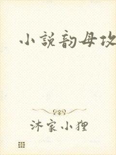 小说韵母攻略