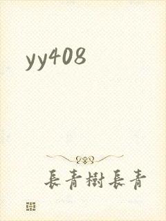 yy408