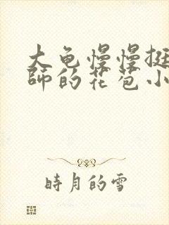 大龟慢慢挺进老师的花苞小说封面