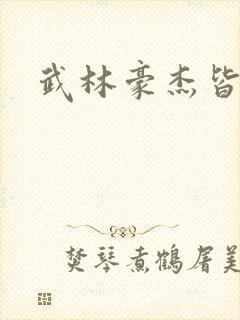 武林豪杰皆我奴