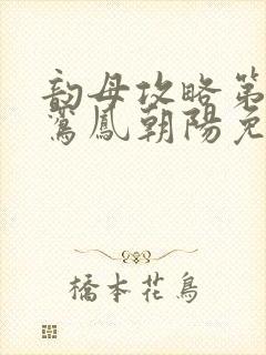 韵母攻略第二部鸾凤朝阳免费阅读