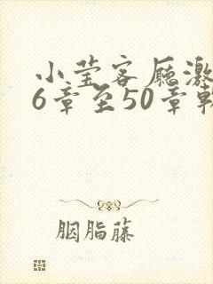 小莹客厅激情46章至50章软件介绍