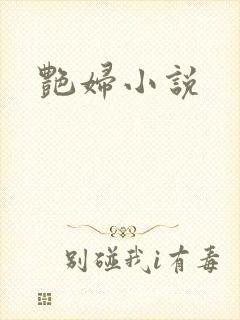 艳妇小说