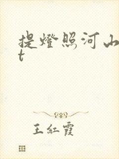 提灯照河山txt