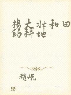 杨大壮和田桂花的耕地