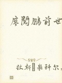 廖阅鹏前世今生封面