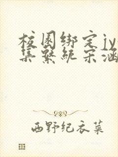 校园绑定jy收集系统宋涵