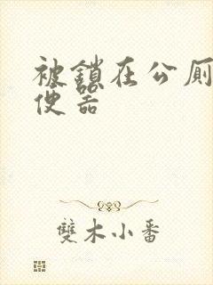 被锁在公厕当坐便器