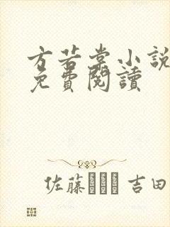 方若棠小说全文免费阅读