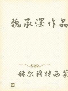魏承泽作品封面