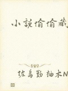 小说偷偷藏不住