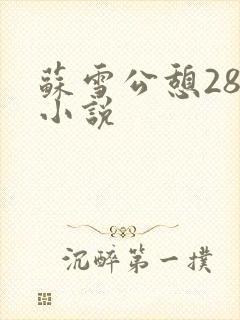 苏雪公憩28篇小说