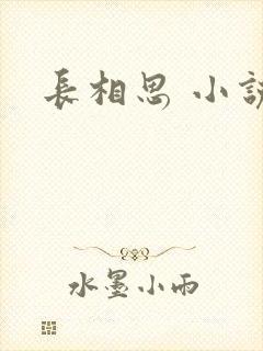 长相思 小说