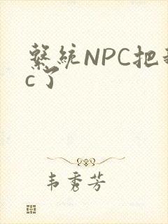 系统NPC把我c了封面