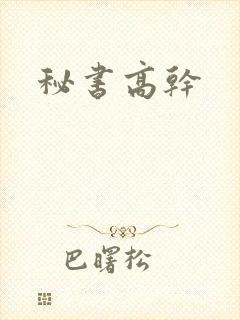 秘书高干