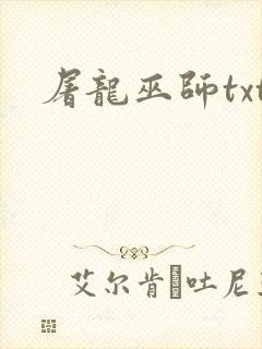 屠龙巫师txt