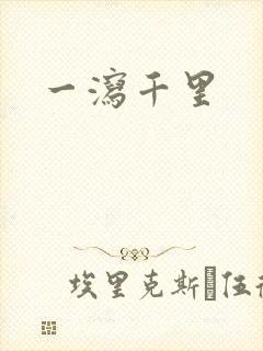 一泻千里封面