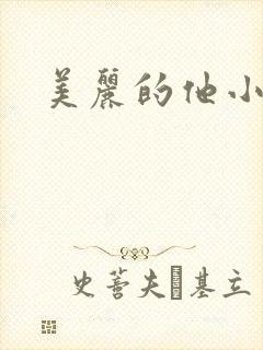 美丽的他小说封面