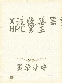 X液收集器系统HPC男主