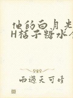 他的白月光HVH桔子糖水全文