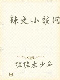 辣文小说网