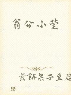 翁公小莹