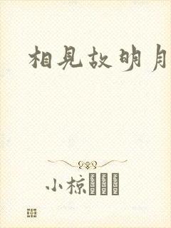 相见故明月
