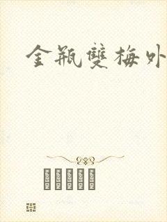 金瓶双梅外传封面