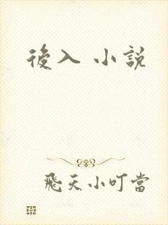 后入 小说