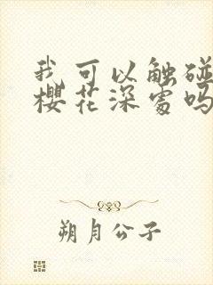我可以触碰你的樱花深处吗封面