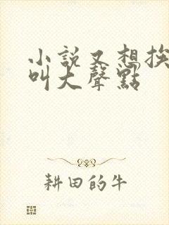 小说又想挨C了叫大声点