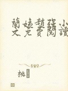 兰姨赵强小说全文免费阅读