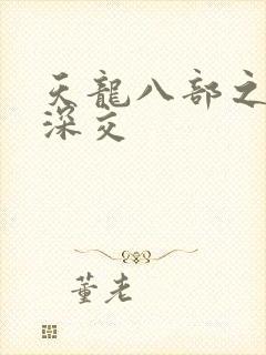 天龙八部之极乐深交封面
