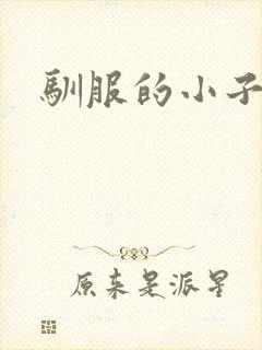 驯服的小子4封面