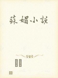 苏媚小说