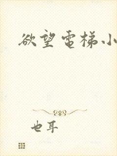 欲望电梯小说