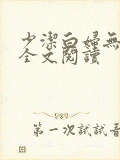 少洁白妇无删减全文阅读封面