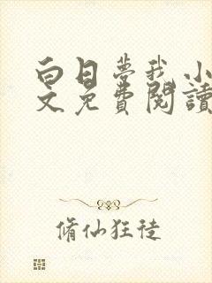 白日梦我小说全文免费阅读封面