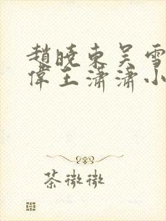 赵晓东吴雪晴郑伟王潇潇小说名字
