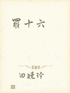 罗十六