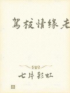 驾校情缘老赵
