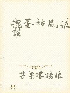 混蛋神风流史小说封面