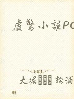 虚惊小说PO