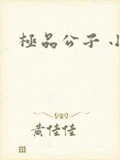 极品公子 小说