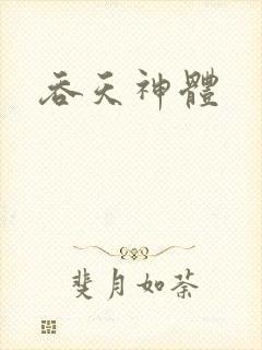 吞天神体封面