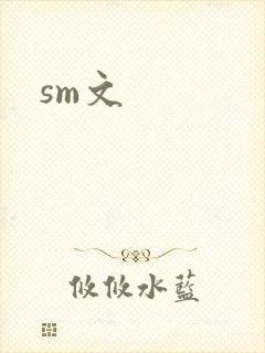 sm文