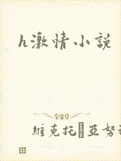 h激情小说