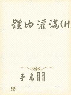 体内灌满(H)封面