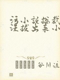 污小说总裁整夜没拔出来小说在线阅读封面