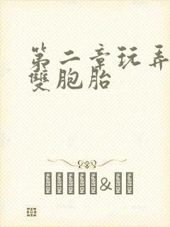 第二章玩弄少妇双胞胎封面